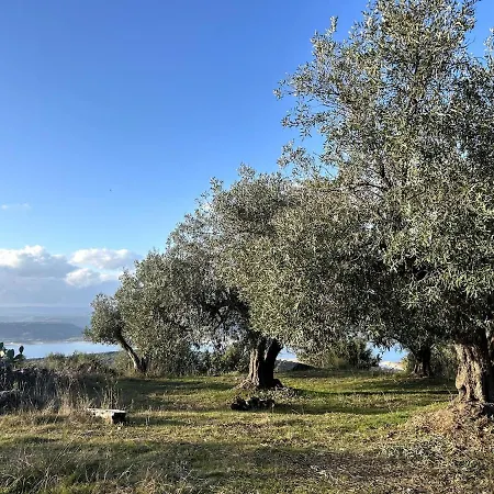 別荘 Traditional House, View On Lake, Yoga, Sauna R4543 *