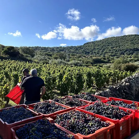 Traditional House, View On Lake, Yoga, Sauna R4543 *