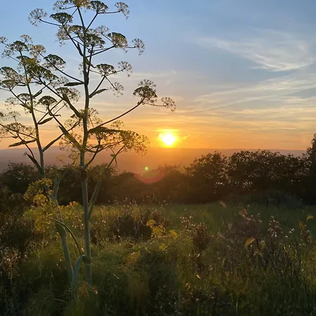 Traditional House, View On Lake, Yoga, Sauna R4543